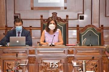 Pleno ordinario de julio de 2022/Francisco Javier Santana.